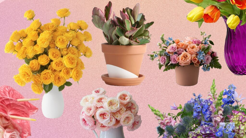 23 Best Online Flower Delivery Services That Will Show You Care