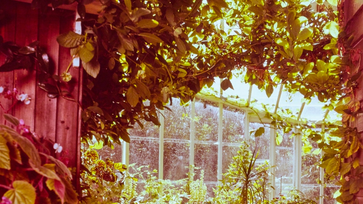 5 Gorgeous Greenhouses from the AD Archive