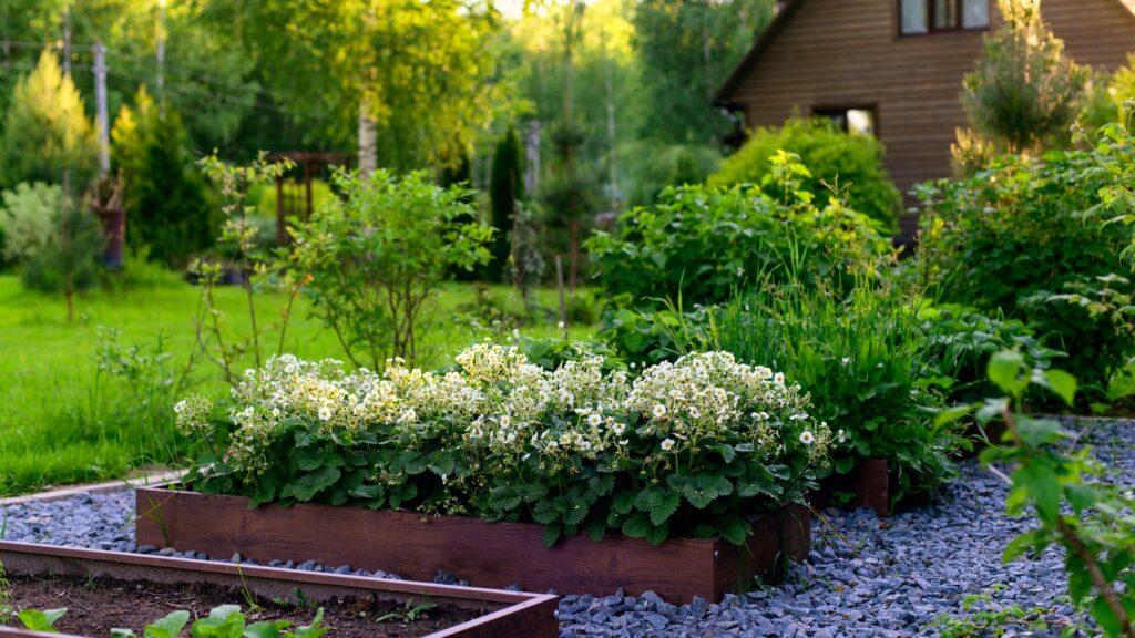 13 Raised Garden Bed Ideas for Easy, Flexible Growing