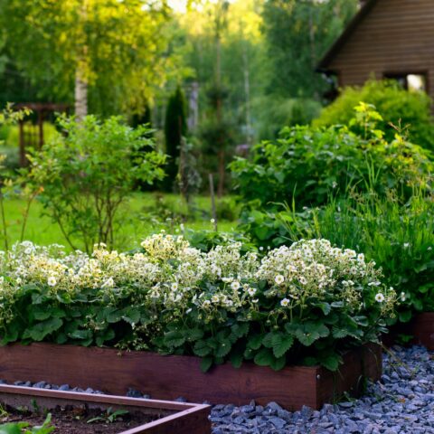 13 Raised Garden Bed Ideas for Easy, Flexible Growing