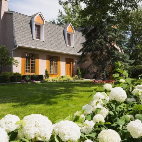 85 Surprising Front Yard Landscaping Ideas