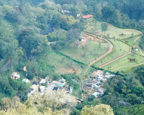 CEAN writes to collector seeking survey on real estate layouts in the Nilgiris, ET RealEstate