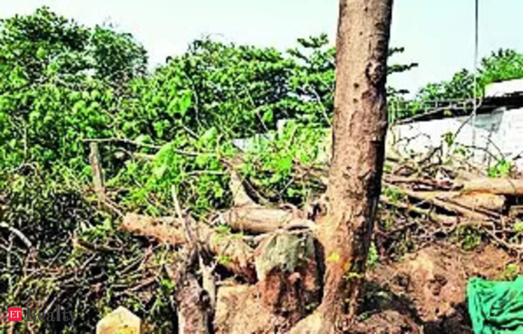 Haryana govt proposes policy allowing tree felling on urban land allotted for projects, ET RealEstate