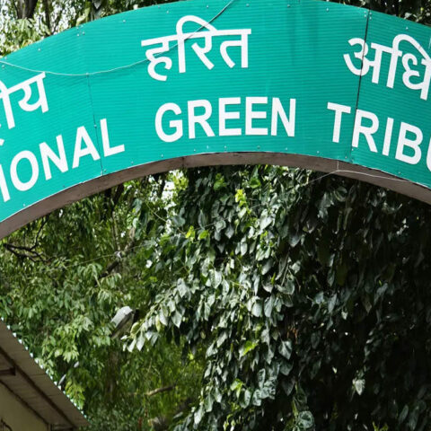 NGT halts real estate project in Ghatikia for not meeting green norms, ET RealEstate