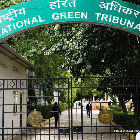 Greater Mohali development body committed gross violations: NGT, ET RealEstate