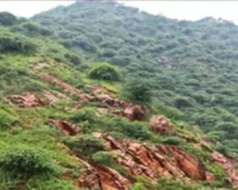 NGT directs Haryana government to halt illegal mining in forest area till August 7, ET RealEstate