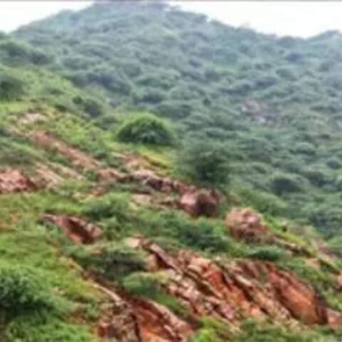 NGT directs Haryana government to halt illegal mining in forest area till August 7, ET RealEstate